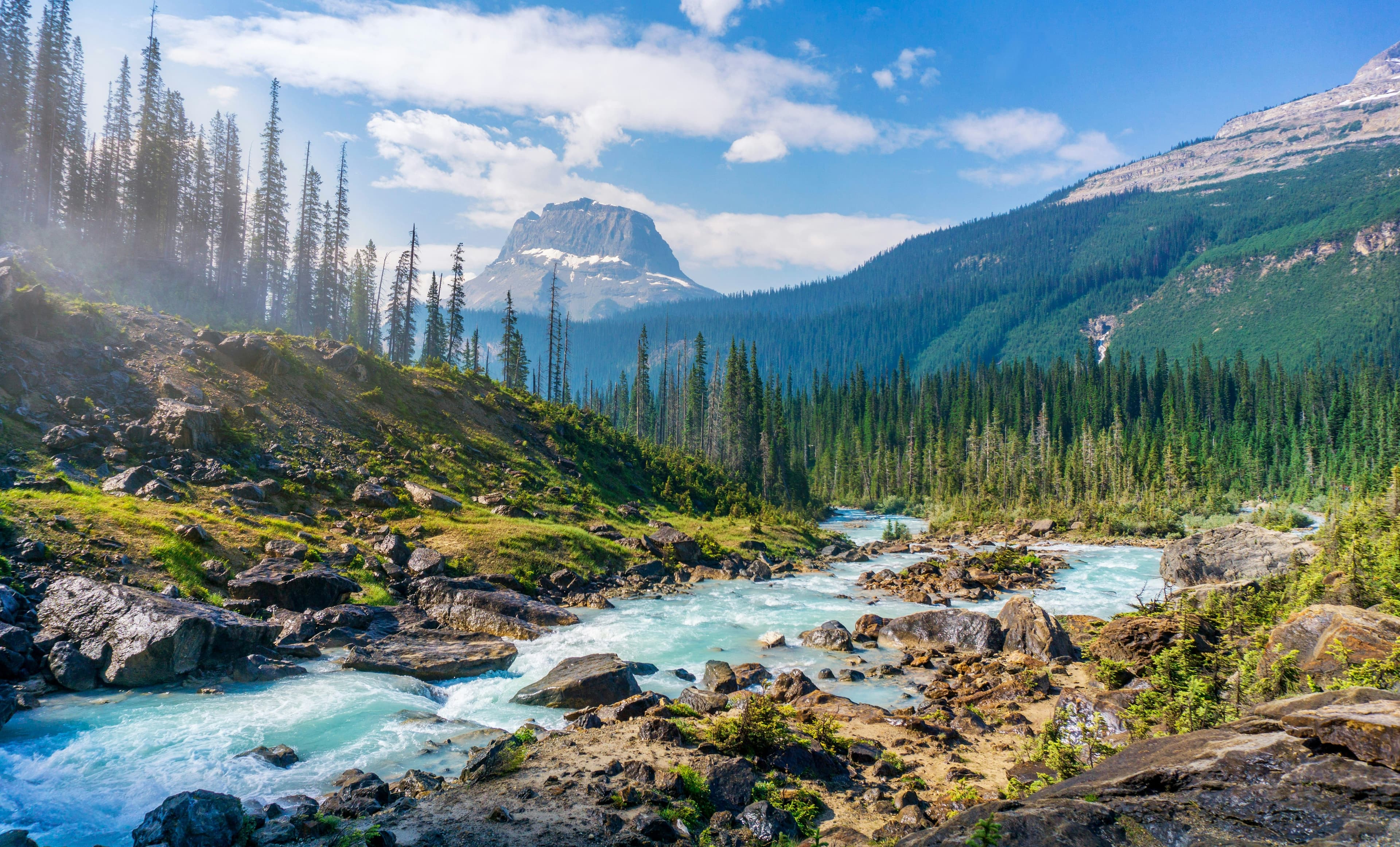 National Park Pass